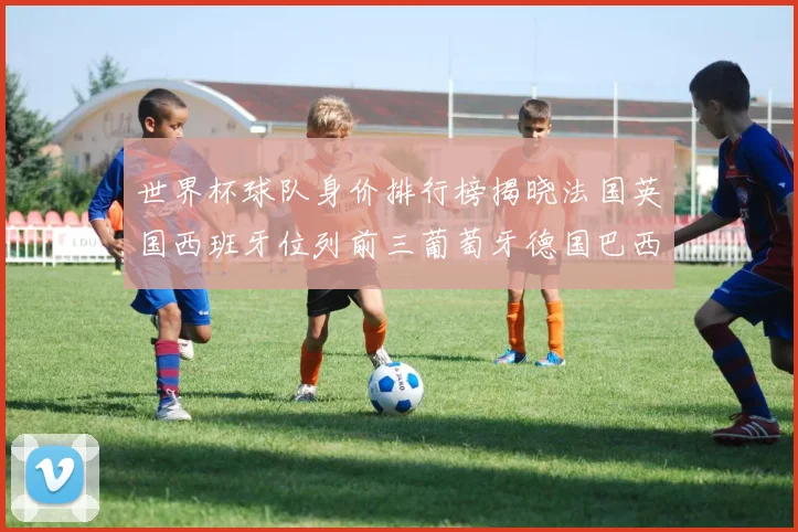 世界杯球队身价排行榜揭晓法国英国西班牙位列前三葡萄牙德国巴西身价均超九亿欧元