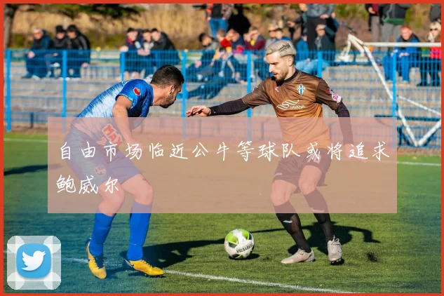 自由市场临近公牛等球队或将追求鲍威尔