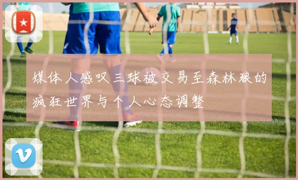 媒体人感叹三球被交易至森林狼的疯狂世界与个人心态调整