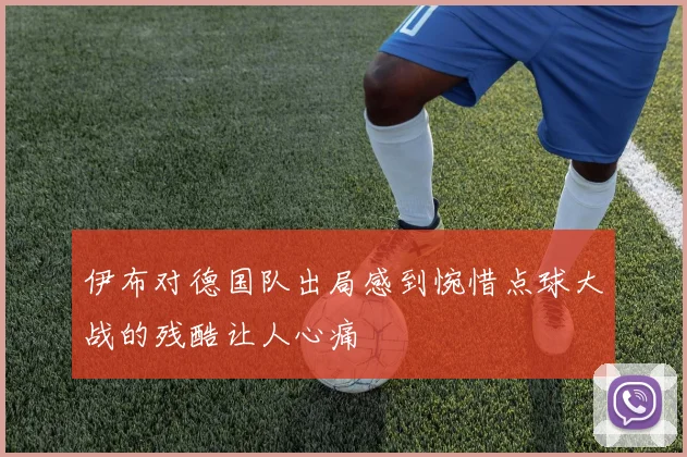 伊布对德国队出局感到惋惜点球大战的残酷让人心痛